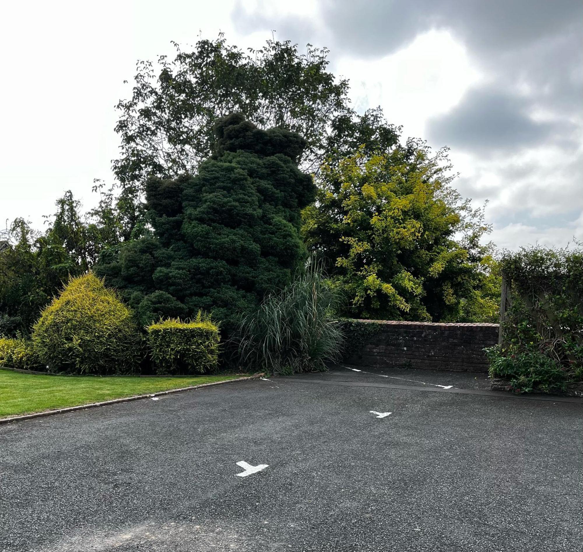 Bell Cottage By Ludlow Castle With Onsite Parking Ngoại thất bức ảnh